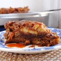 Permalink to: Spiced and Spiked Double Apple Cake with Brown Sugar Bourbon Drizzle Apple cake thumb