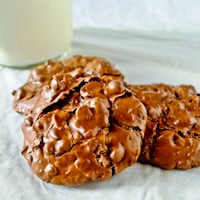 Permalink to: Flourless Chocolate, Almond, and Coconut Cookies (Gluten Free and Low Fat!) flourless chocolate cookies