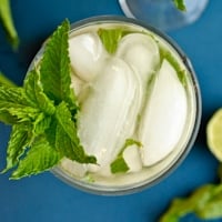 Permalink to: Iced Mint Green Tea Mojito mint-mojito-thumb