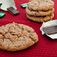 Permalink to: Chewy Chocolate Mint Cookies chocolate-mint-cookies-thumb