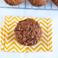 Permalink to: Morning Glory Muffins morning glory muffins thumb