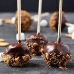 Permalink to: S'more Cake Pops (Guest Post for Wallflour Girl) s'more-cake-pops-thumb